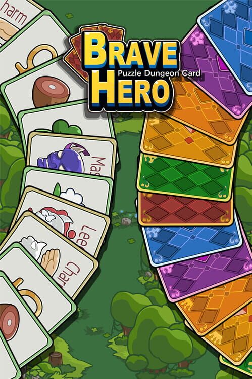 Brave Hero: Puzzle Dungeon Card cover