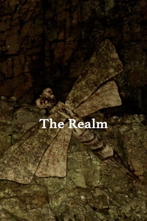 The Realm cover