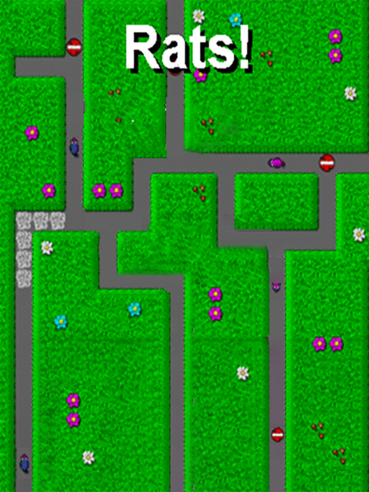 Rats!