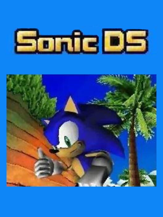 Sonic DS poster
