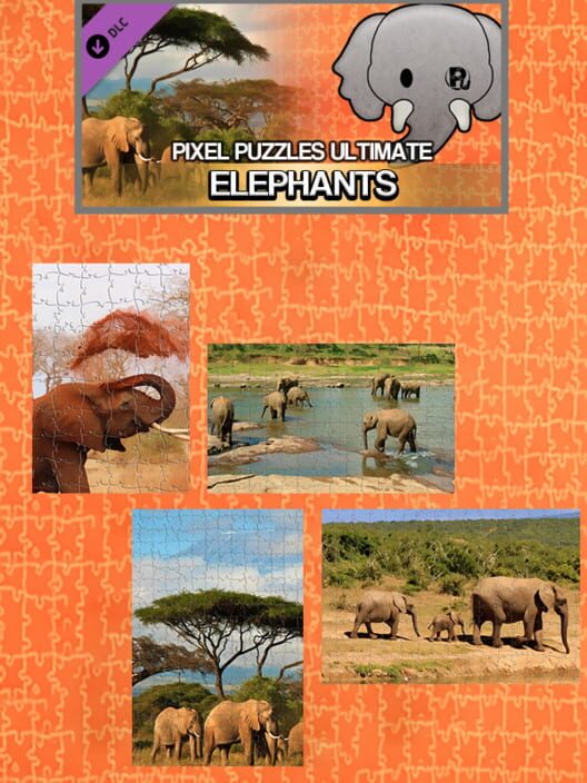 Capa de Pixel Puzzles Ultimate: Elephants