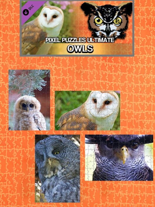 Capa de Pixel Puzzles Ultimate: Owls