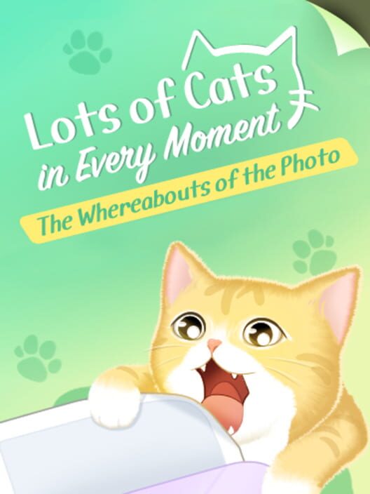 Lots of Cats in Every Moment: The Whereabouts of the Photo