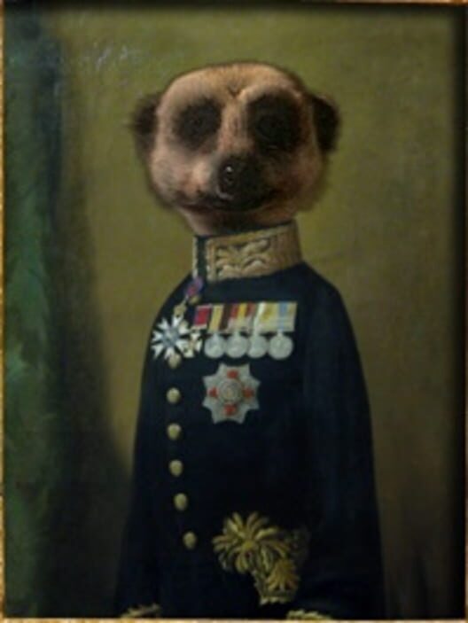 Compare the Meerkat cover