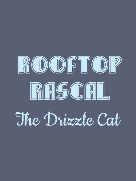 Rooftop Rascal: The Drizzle Cat