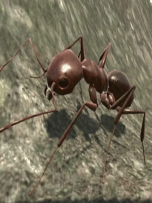 Google Play Store cover for Ant Simulation 3D