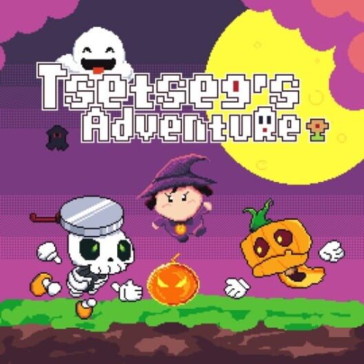 Tsetesg's Adventure