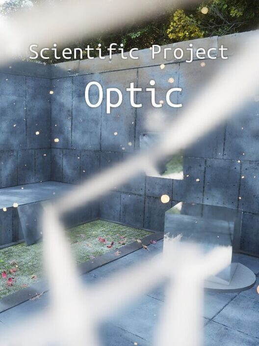 Scientific Project: Optic