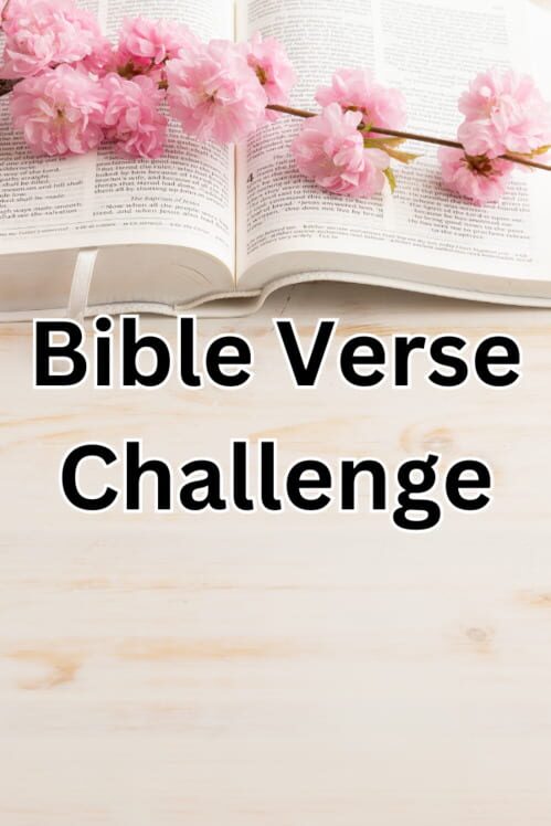 Bible Verse Challenge