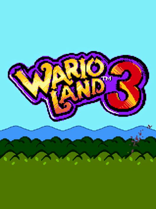 Wario Land 3: The Master Quest cover