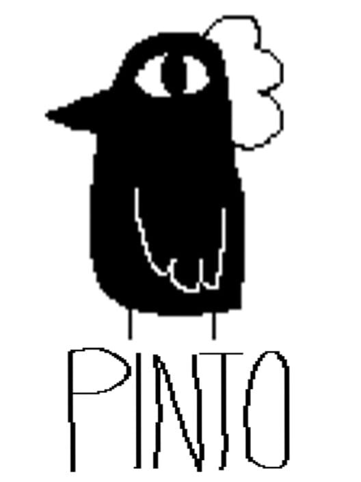 Pinto Cover