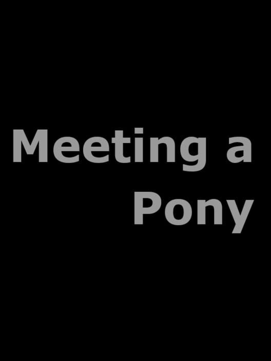 Meeting a Pony cover