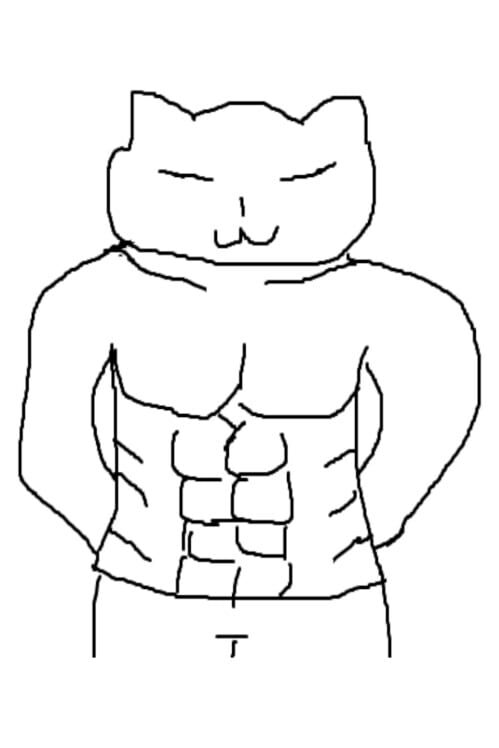 CatCatMan poster
