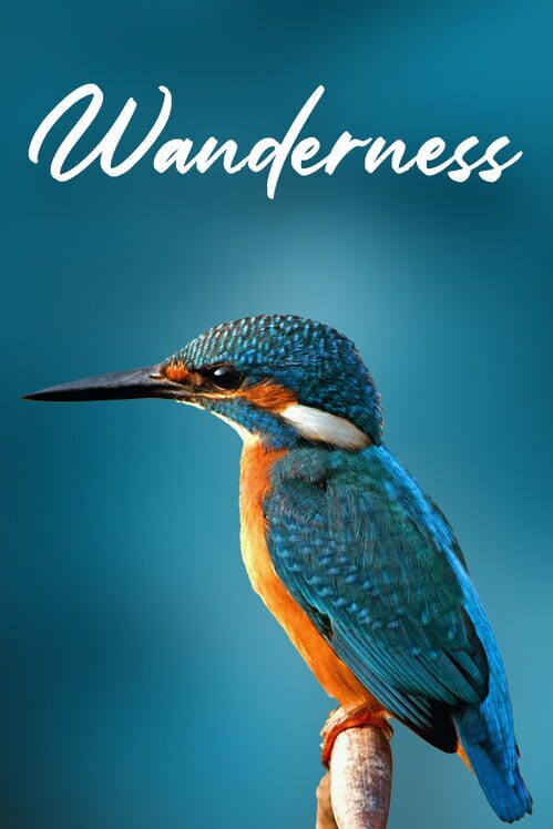 Capa de Wanderness