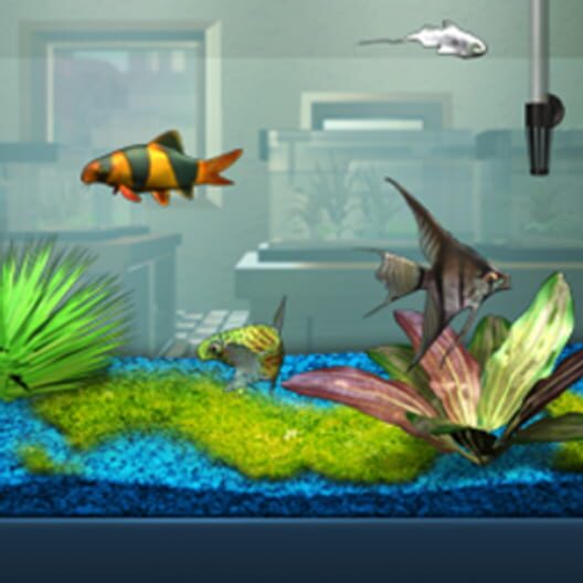 FishCo Cover