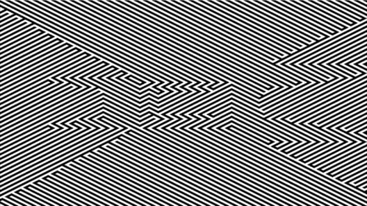 Zebra cover