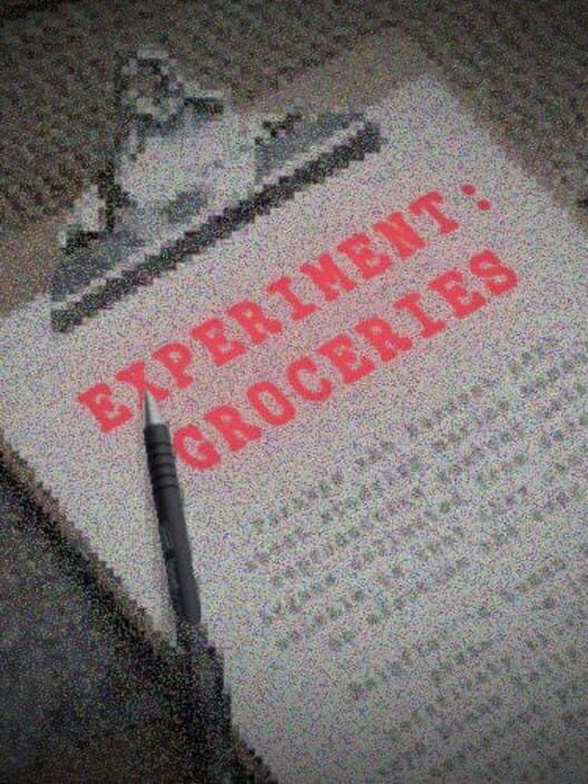 Experiment: Groceries Cover