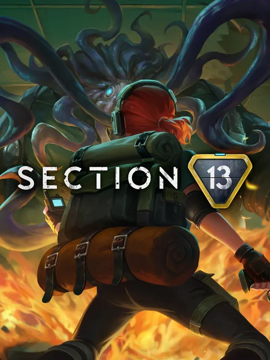 Section 13 cover