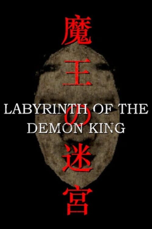 Labyrinth of The Demon King