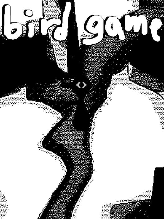 Capa de Bird Game