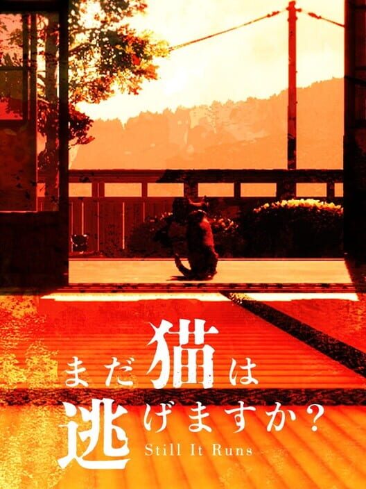 まだ猫は逃げますか？