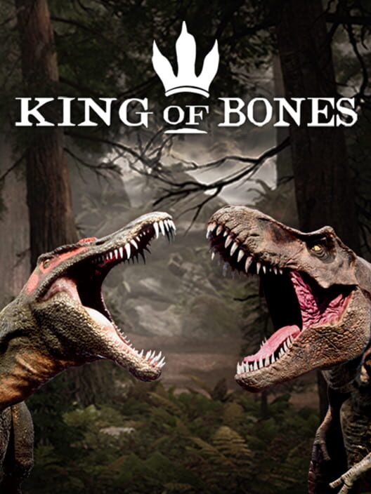 Steam cover for King of Bones.