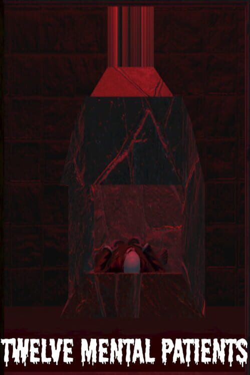 Twelve Mental Patients cover