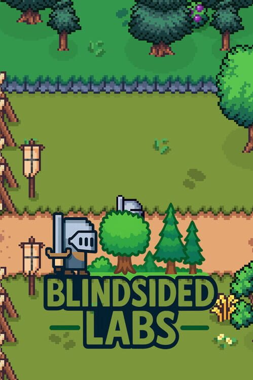 Steam cover for Blindsided Labs.