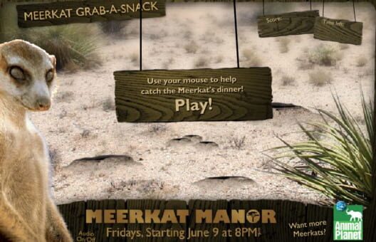 Meerkat Manor: Meerkat Grab-A-Snack cover