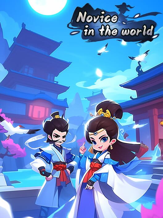 Capa de Novice in the World