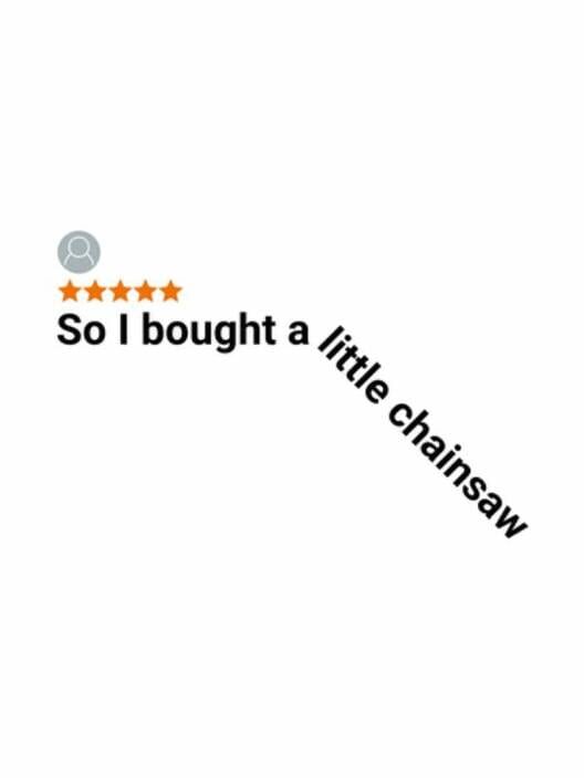 So I bought a little chainsaw