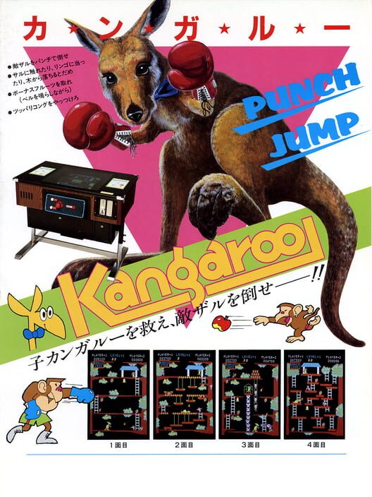 カンガルー