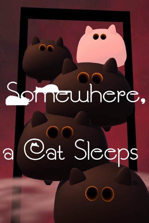 Capa de Somewhere, a Cat Sleeps
