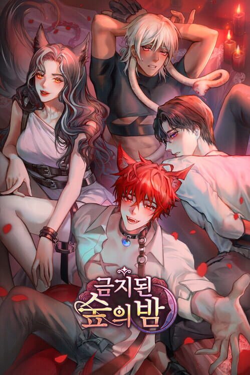 금지된 숲의 밤 封面