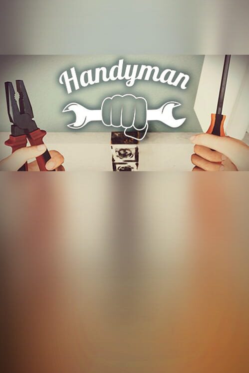 Steam cover for Handyman.