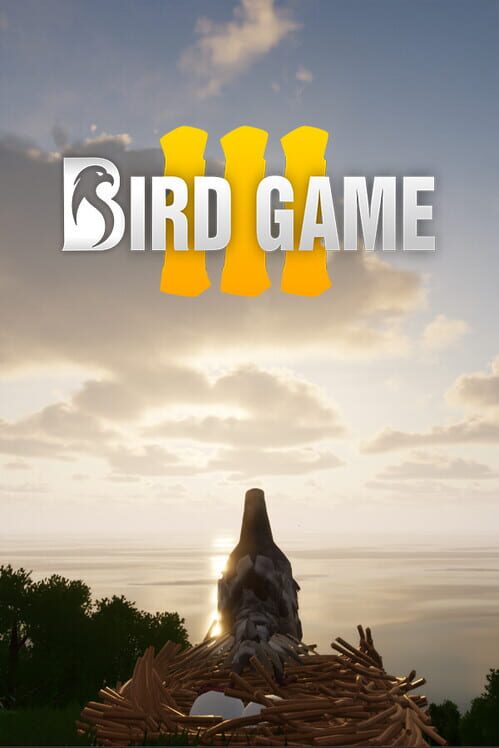 Steam cover for Bird Game.