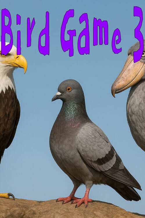 Steam cover for Bird Game 3.