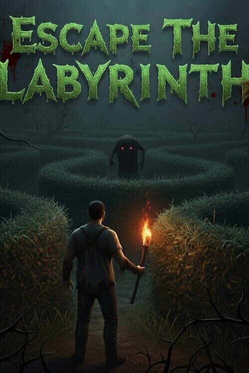 Capa de Escape The Labyrinth