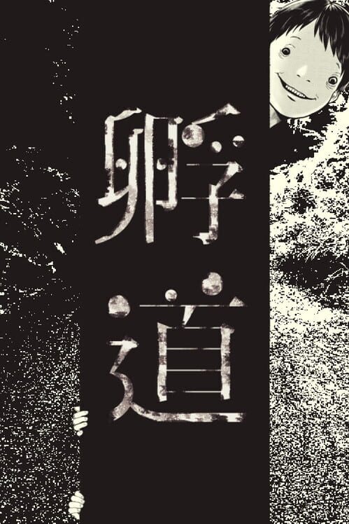 孵道 封面