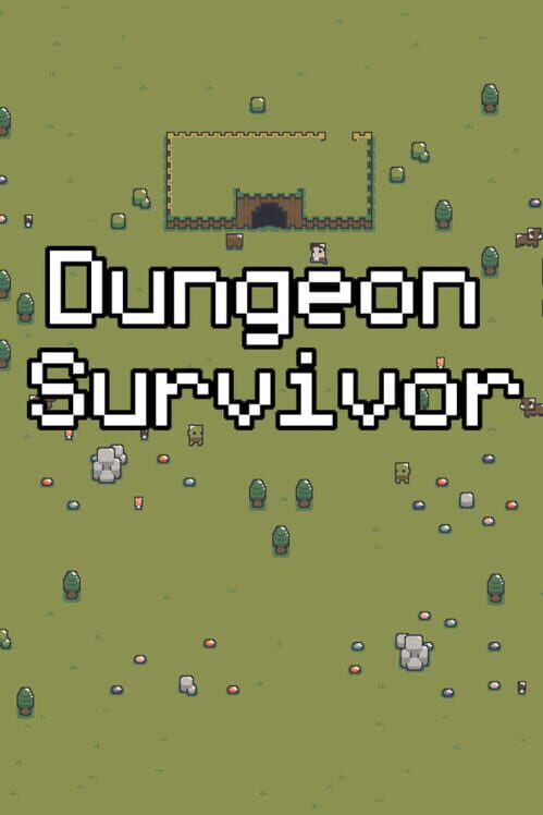 Steam cover for Dungeon Survivor.