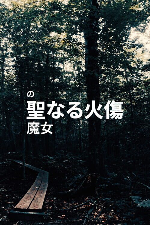の 聖なる火傷 魔女