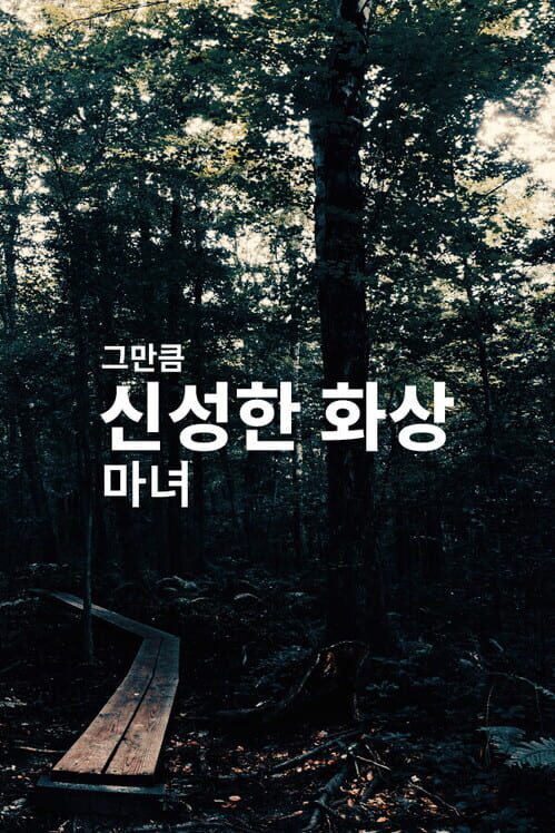 신성한 화상 마녀 封面