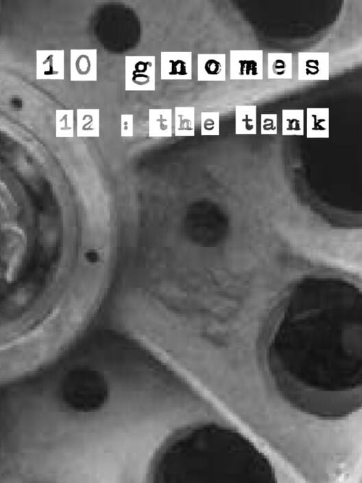 Capa de 10 Gnomes 12: the Tank