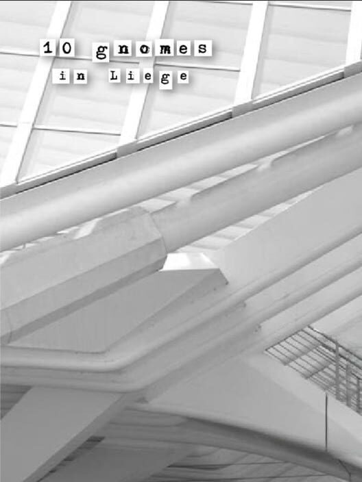 10 Gnomes in Liege cover