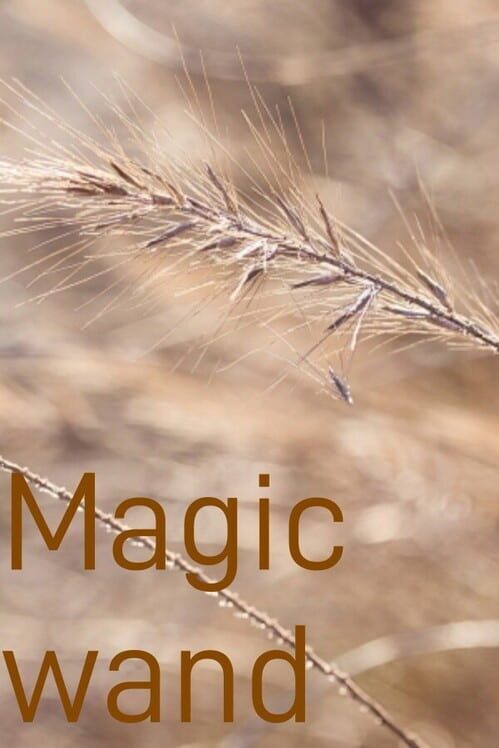 Magic Wand