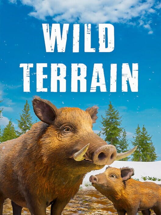 Capa de Wild Terrain