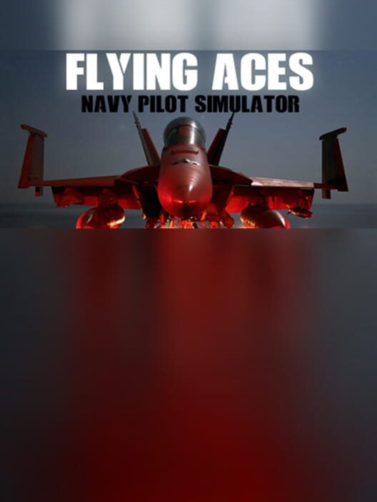 Flying Aces - Navy Pilot Simulator cover