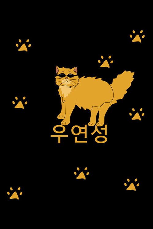 우연성 封面