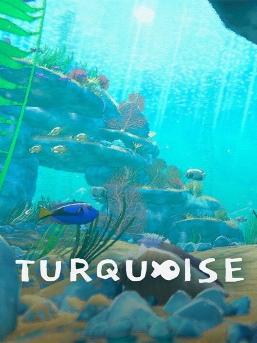 Steam cover for Turquoise.