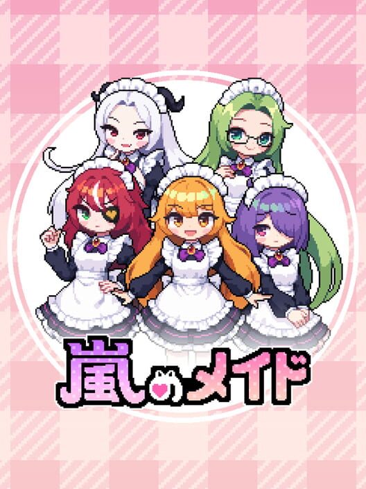 嵐のメイド 封面